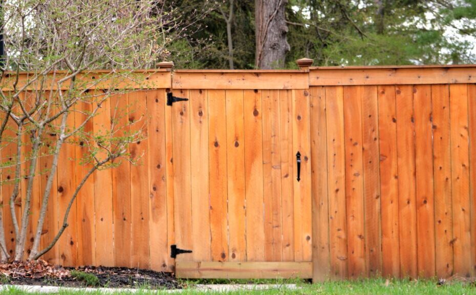 Read more about the article 6 Ways to Care for a Wood Fence