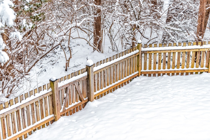 Read more about the article Achieve Winter Privacy This Season With These 4 Terrific Fencing Options